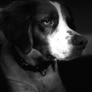 Meet your Posher, Dayton